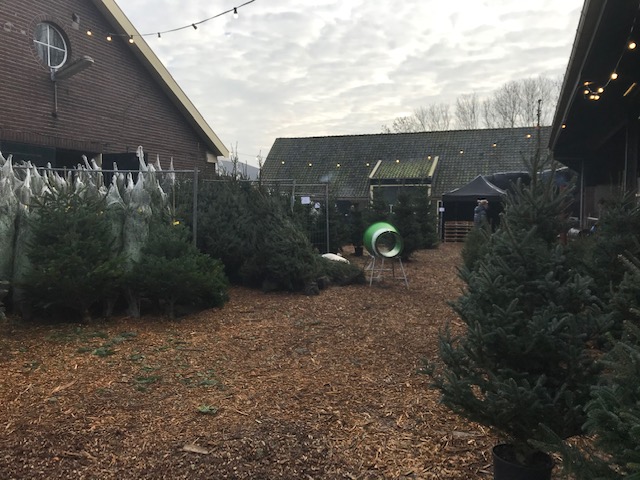 Foto kerstbomen 3 2020